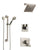 Delta Vero Stainless Steel Finish Shower System with Dual Control Handle, 3-Setting Diverter, Showerhead, and Hand Shower with Grab Bar SS1753SS2