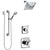 Delta Ashlyn Chrome Finish Shower System with Dual Control Handle, 3-Setting Diverter, Showerhead, and Hand Shower with Grab Bar SS17646