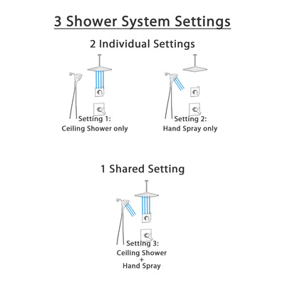 Delta Ara Matte Black Finish Dual Control Shower System with Diverter, Large Ceiling Mount Showerhead, and In2ition Detachable Hand Shower SS17673BL9