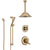 Delta Linden Champagne Bronze Shower System with Dual Control Handle, Diverter, Ceiling Mount Showerhead, and Hand Shower with Slidebar SS1794CZ6