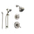 Delta Cassidy Stainless Steel Shower System with Dual Control Shower Handle, 3-setting Diverter, Showerhead, and Handheld Shower SS179783SS