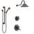 Delta Cassidy Venetian Bronze Finish Shower System with Dual Control Handle, 3-Setting Diverter, Showerhead, and Hand Shower with Grab Bar SS1797RB6