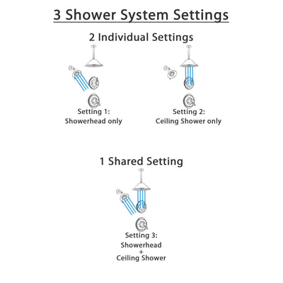 Delta Victorian Dual Thermostatic Control Handle Stainless Steel Finish Shower System, Diverter, Showerhead, and Ceiling Mount Showerhead SS17T2551SS6