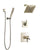 Delta Zura Polished Nickel Shower System with Dual Thermostatic Control Handle, Diverter, Showerhead, and Hand Shower with Wall Bracket SS17T274PN2