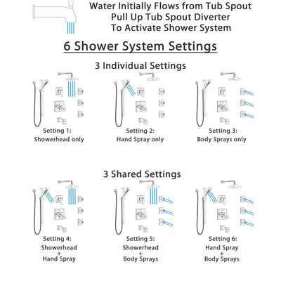 Delta Ara Stainless Steel Finish Dual Thermostatic Control Tub and Shower System, Diverter, Showerhead, 3 Body Sprays, and Hand Shower SS17T4671SS6