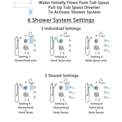 Delta Cassidy Chrome Dual Thermostatic Control Tub and Shower System, Diverter, Showerhead, 3 Body Sprays, and Hand Shower with Grab Bar SS17T49711