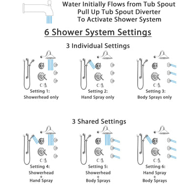 Delta Cassidy Chrome Dual Thermostatic Control Tub and Shower System, Diverter, Showerhead, 3 Body Sprays, and Hand Shower with Grab Bar SS17T49712