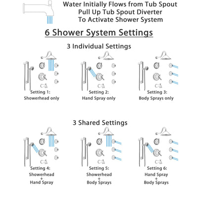 Delta Cassidy Stainless Steel Finish Dual Thermostatic Control Tub and Shower System with Showerhead, 3 Body Jets, Grab Bar Hand Spray SS17T4971SS4