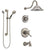 Delta Cassidy Stainless Steel Finish Dual Thermostatic Control Tub and Shower System, Diverter, Showerhead, and Hand Shower with Grab Bar SS17T4972SS3