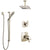 Delta Tesla Polished Nickel Shower System with Dual Thermostatic Control Handle, Diverter, Ceiling Mount Showerhead, and Hand Shower SS17T522PN1