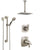 Delta Tesla Dual Thermostatic Control Stainless Steel Finish Shower System, Diverter, Ceiling Mount Showerhead, and Grab Bar Hand Shower SS17T522SS1