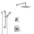 Delta Ara Chrome Finish Shower System with Dual Thermostatic Control Handle, 3-Setting Diverter, Showerhead, and Hand Shower with Grab Bar SS17T6719