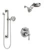 Delta Cassidy Chrome Finish Shower System with Control Handle, Integrated 3-Setting Diverter, Dual Showerhead, and Hand Shower with Grab Bar SS2489712