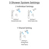 Delta Cassidy Venetian Bronze Shower System with Control Handle, Integrated Diverter, Dual Showerhead, and Hand Shower with Grab Bar SS24897RB5