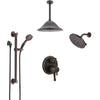 Delta Cassidy Venetian Bronze Dual Control Handle Shower System, Integrated Diverter, Showerhead, Ceiling Showerhead, Grab Bar Hand Spray SS27997RB9