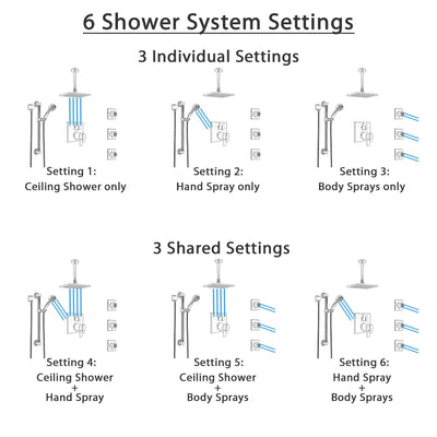 Delta Ara Dual Thermostatic Control Stainless Steel Finish Shower System, Ceiling Showerhead, 3 Body Jets, Grab Bar Hand Spray SS27T967SS4